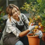 The Smart Homeowner’s Guide to Selecting the Right Tree