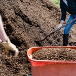 Low-Maintenance Landscaping That Works With Your Schedule